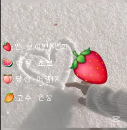 시력 테스트