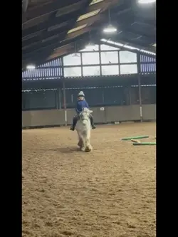 SLO-MO π