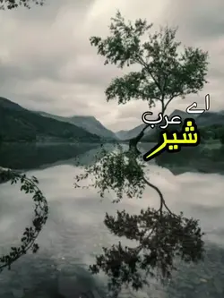 Tiktok viral 