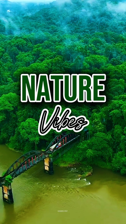 Vibes der Natur 