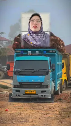 cita cita jadi supir