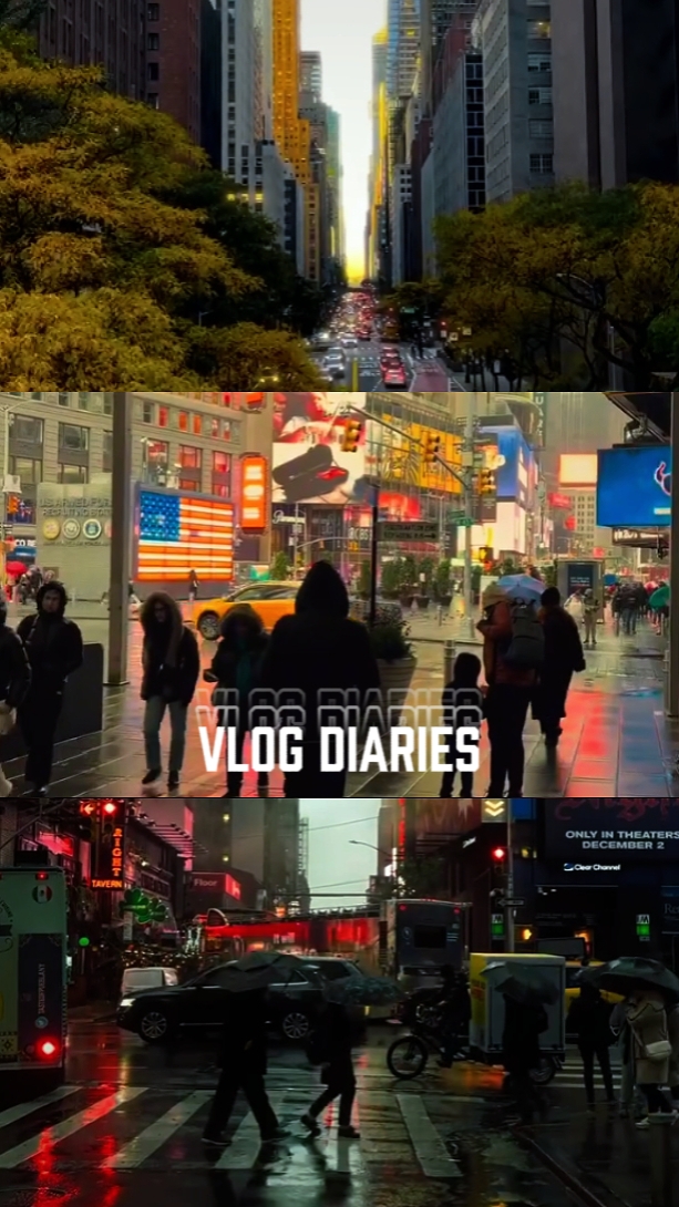 Vlog Diaries
