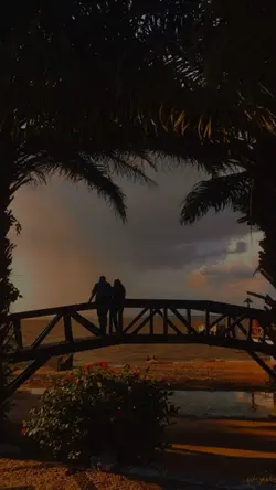 Ao Pôr Do Sol 🎶