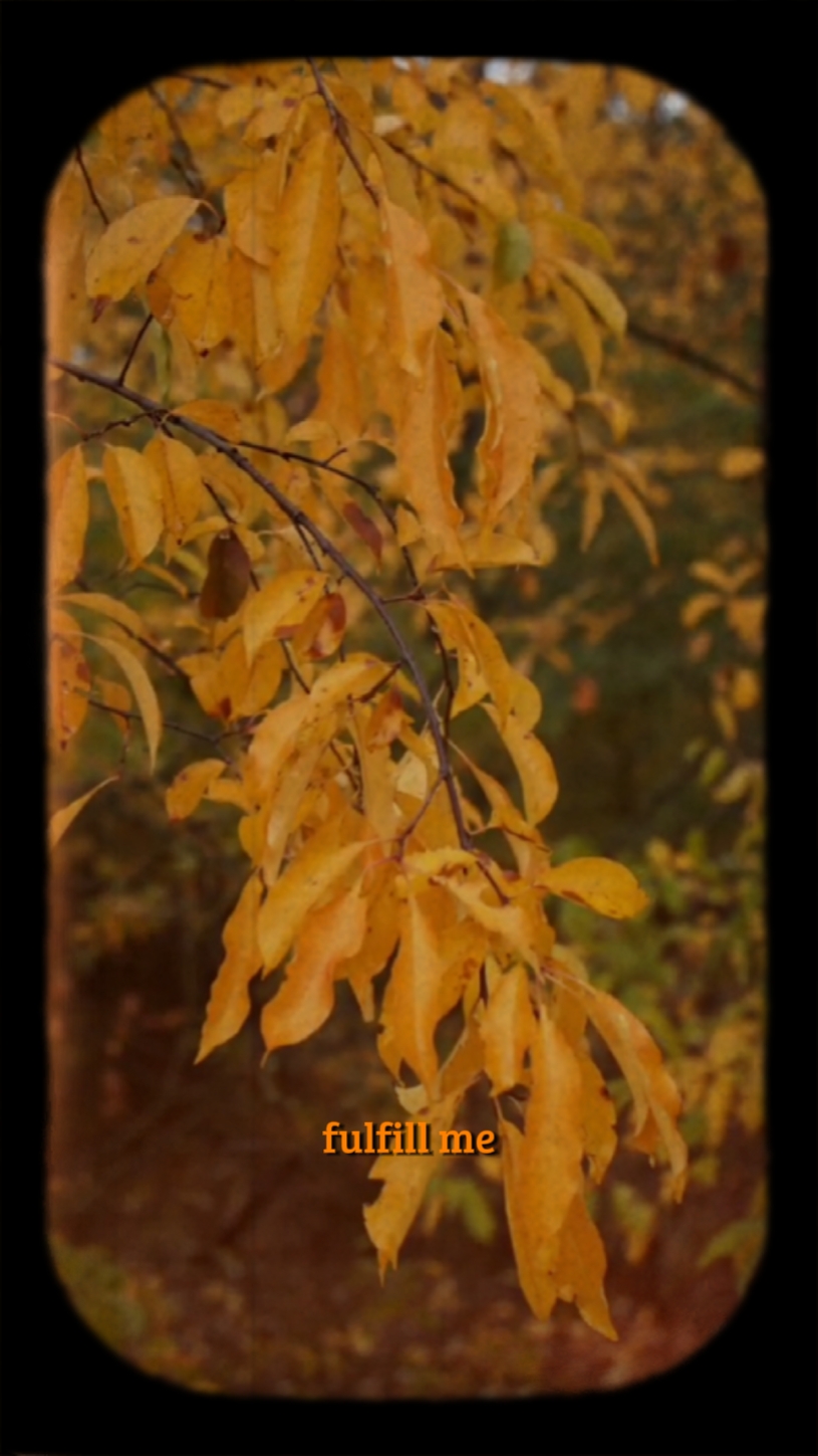 Vibraciones de otoño