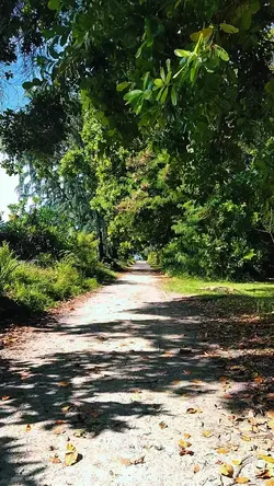 NATURE-9