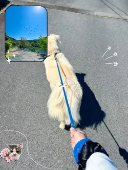 ゴールデンウィーク