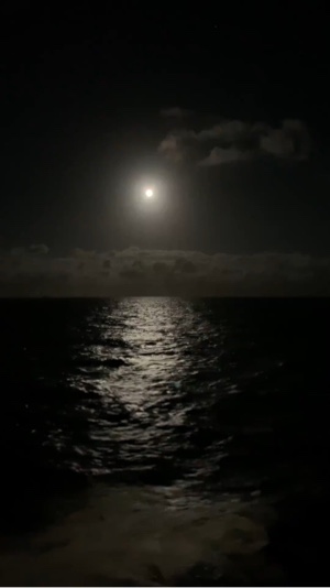Mar de noche 