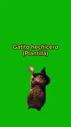 Gatito mágico