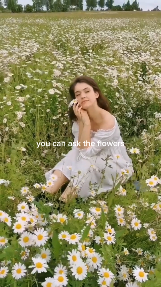 ask the flowers