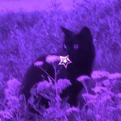 Spinning Star edit 🌟