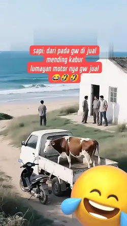 sapi kocak ngakak