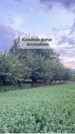 Kişisel motivasyon