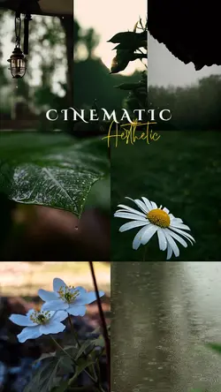 Cinematic Aesthetic