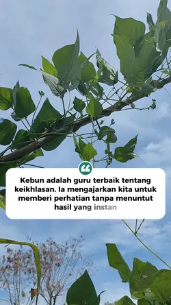Berkebun Keikhlasan