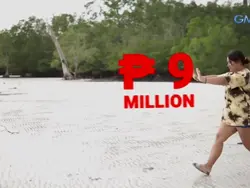 9 million pesos