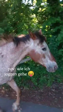 mit mir joggen
