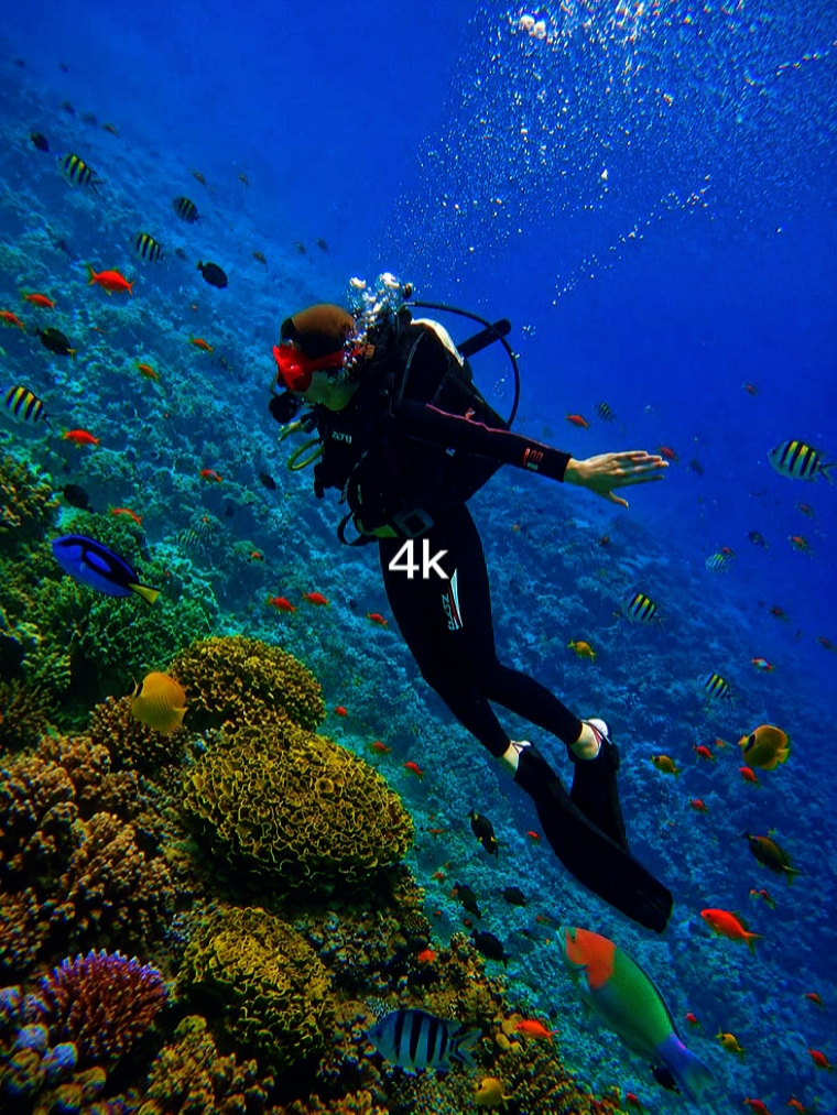 144P vs 4k IT 'S WORK