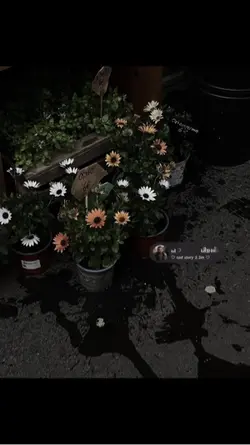 ออสโทเจียการโหยหาอดีต