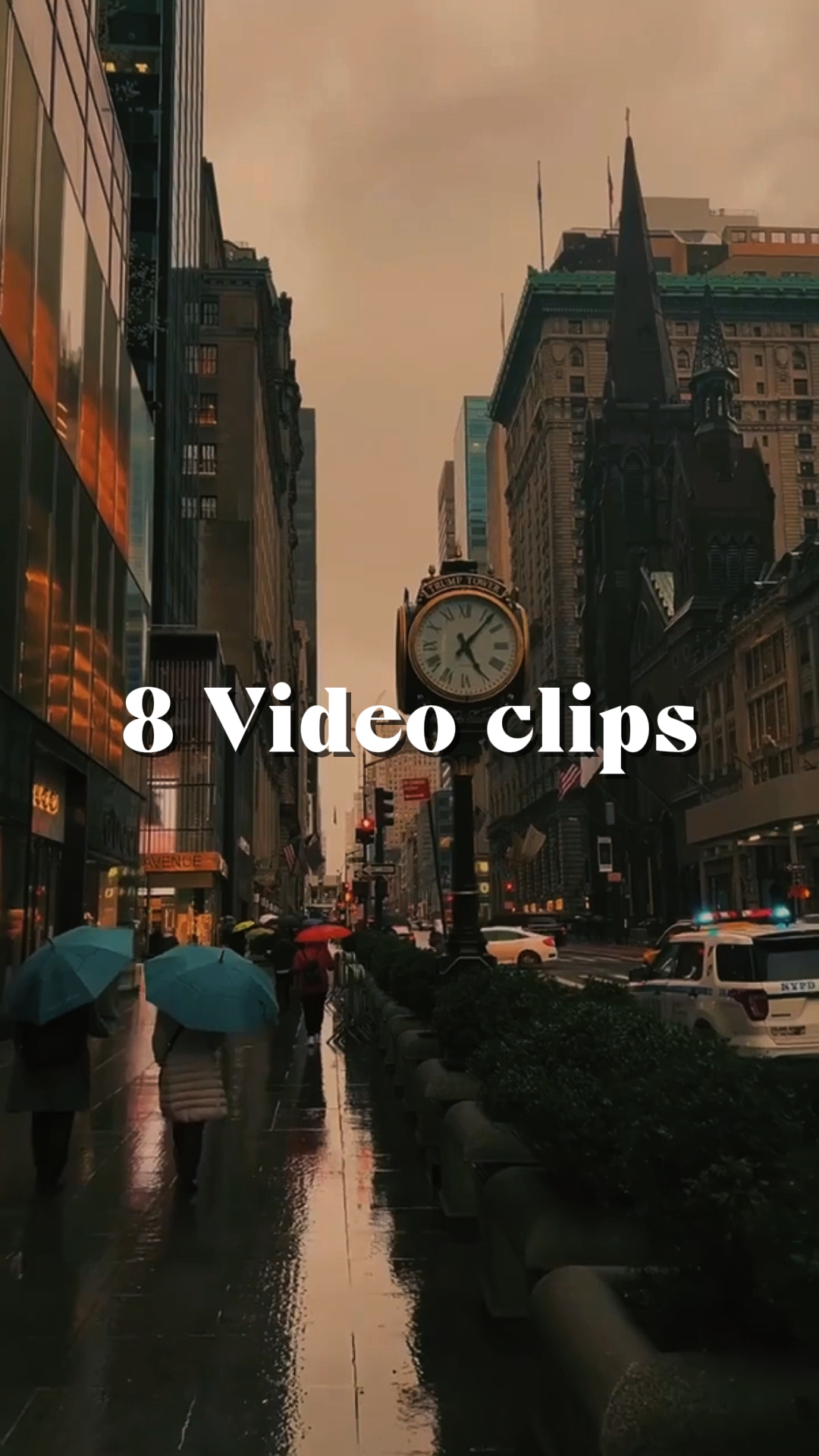 8 Video Clips