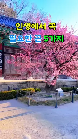 인생에서 꼭 필요한 끈 5가지
