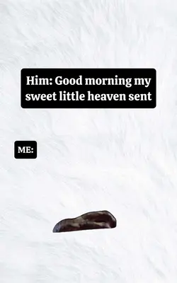 Good morning my swee