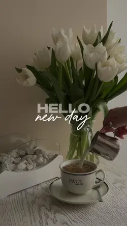 HELLO, NEW DAY