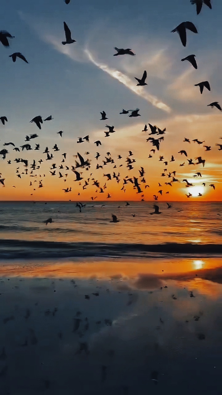 Travel recap slowmo