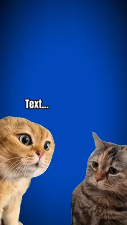 Meme