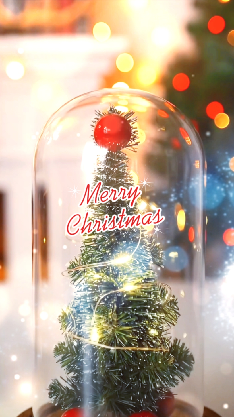 Feliz Navidad