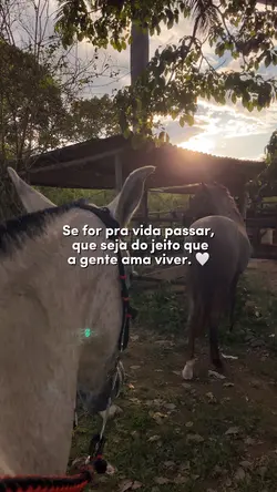 Se for pra vida pass