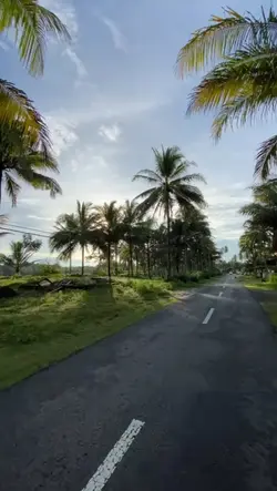 Bali vlog