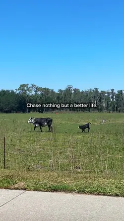 A BETTER LIFE 🫶🏻