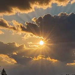 ─ .𝐘our 𝐒unshine ‹