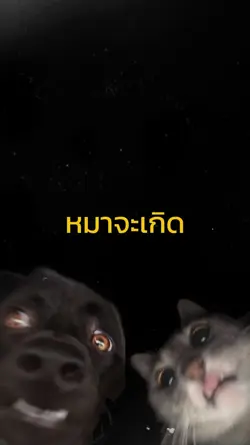 สุขสันต์วันเกิด