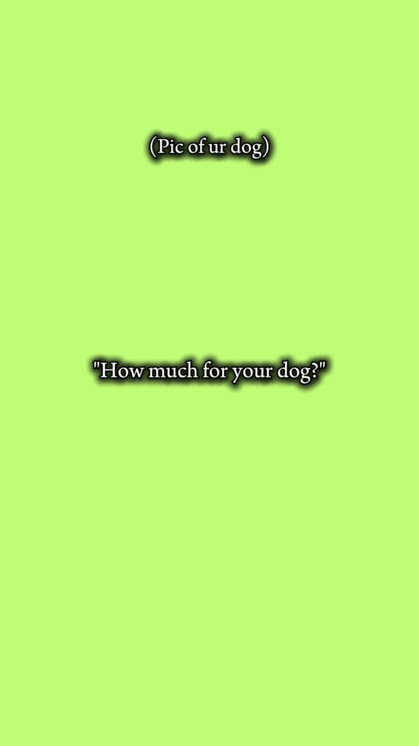 Perro
