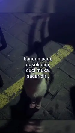bangun pagi gosok