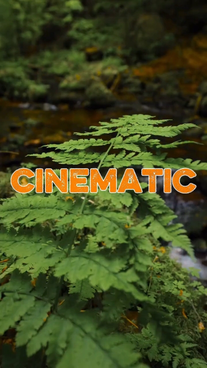 cinematic 5 video