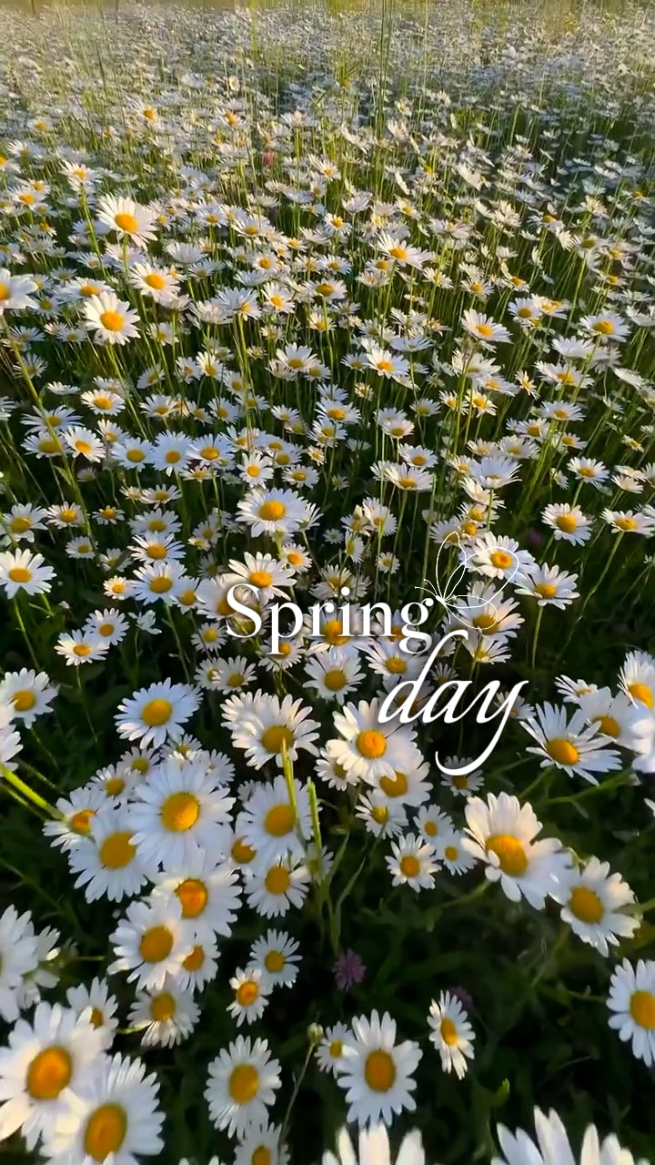 Spring day🌼