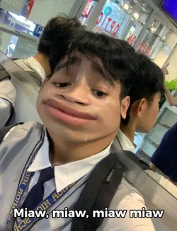 miaw miaw miaw miaw