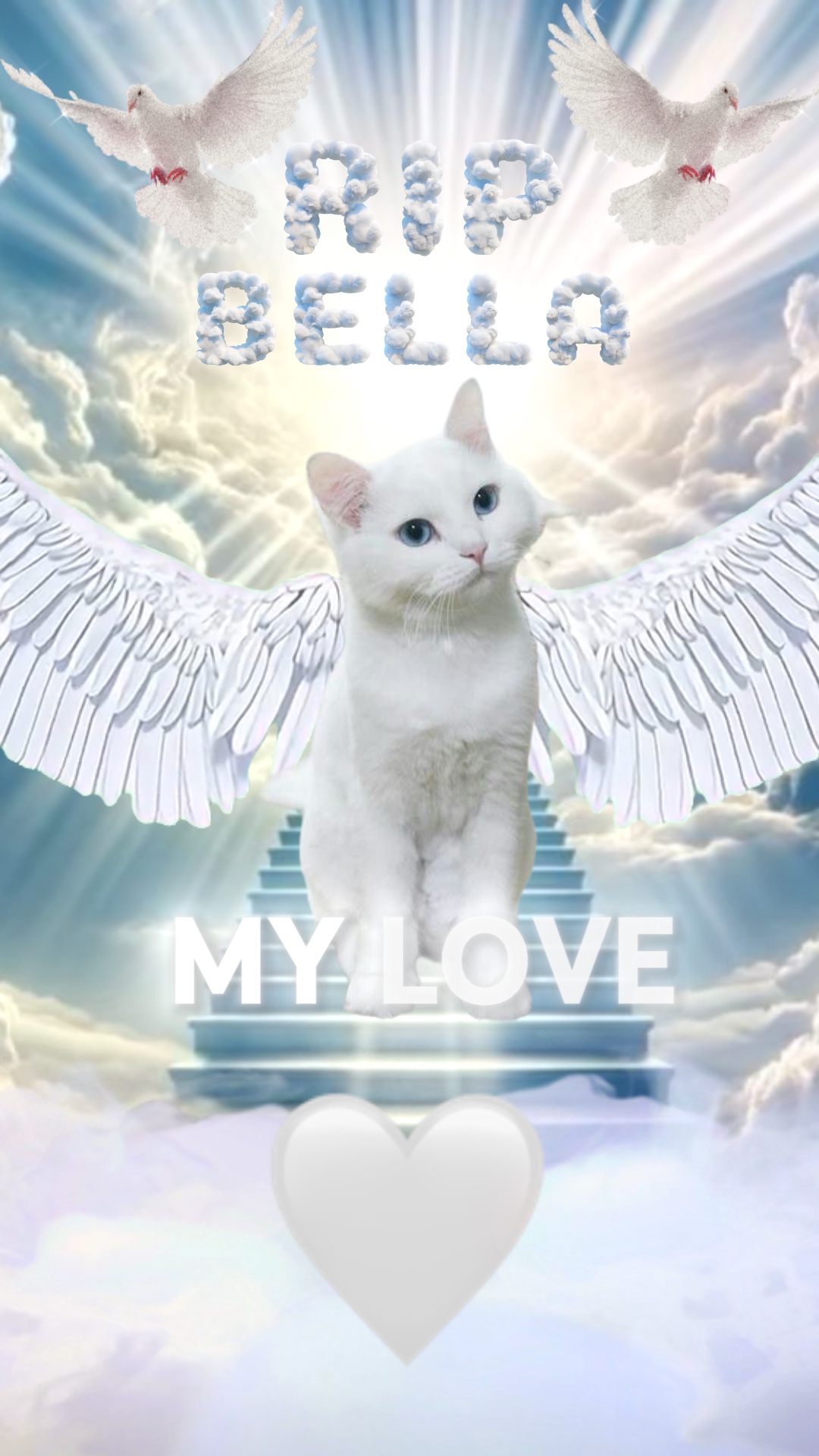 DESCANSE EM PAZ MEU ANJO GATO 