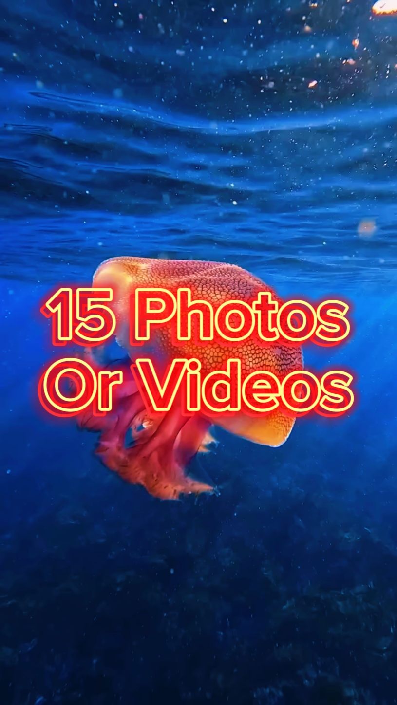 15 diapositives vidéo