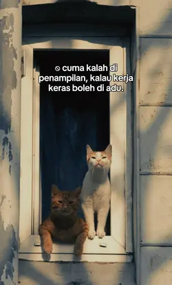 boleh