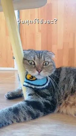 วันศุกร​์รึยังอะ? 