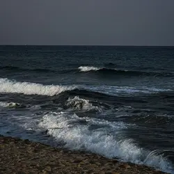 i'm sorry mom