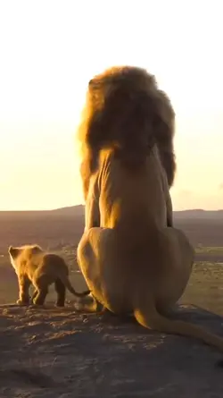 eu sou filho de leão