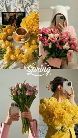4 spring photos
