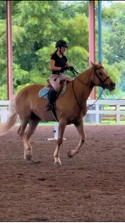Canter jumpppp