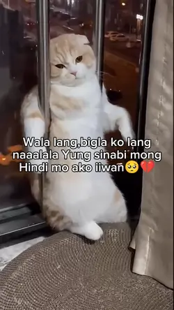 #kalako dimoko iiwan