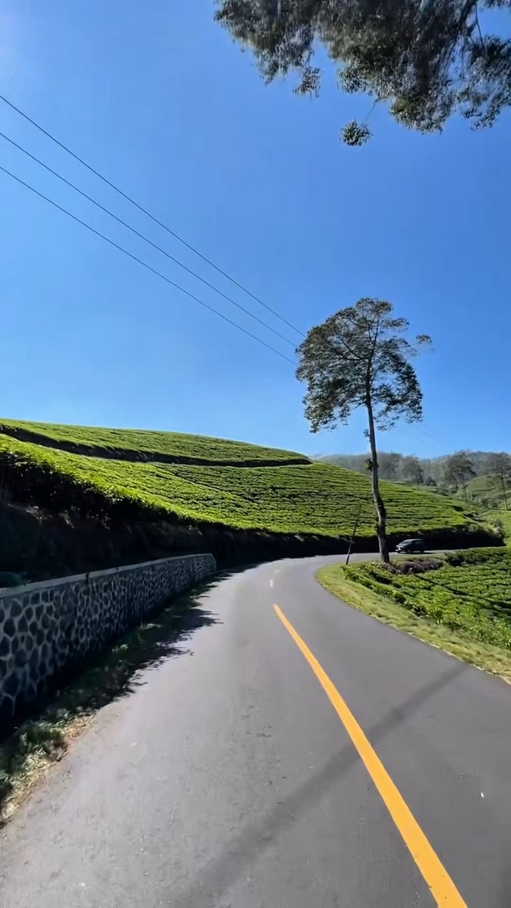 roadtrip travel