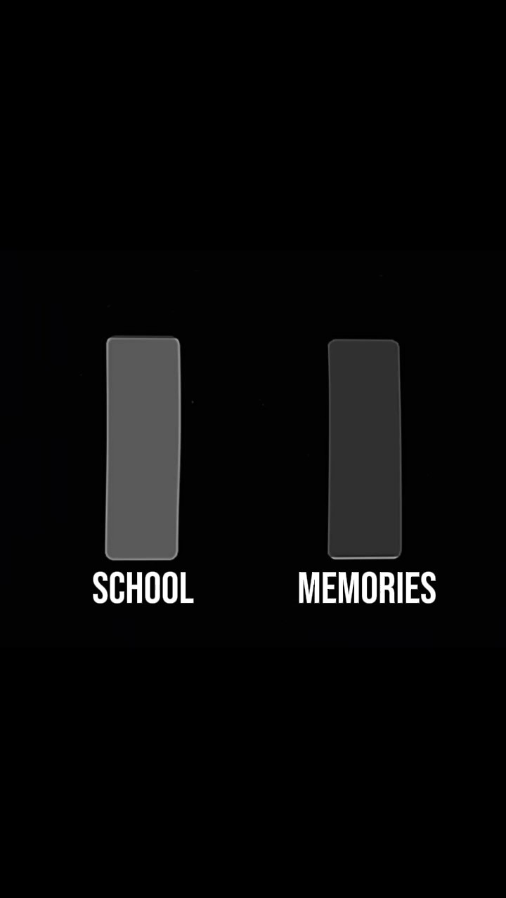 MEMÓRIA DA ESCOLA